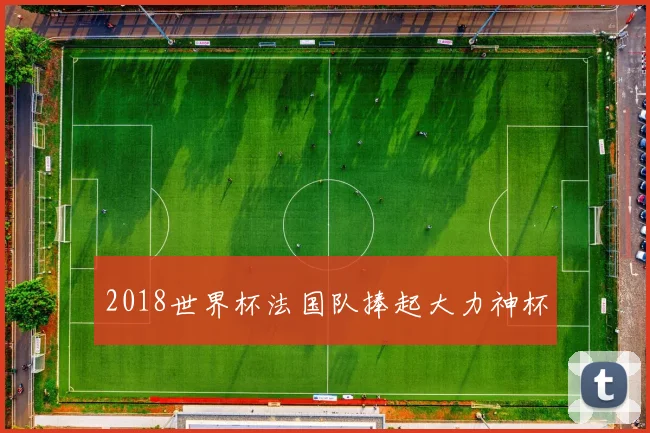 2018世界杯法国队捧起大力神杯